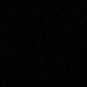 Meet your Posher, Arianna